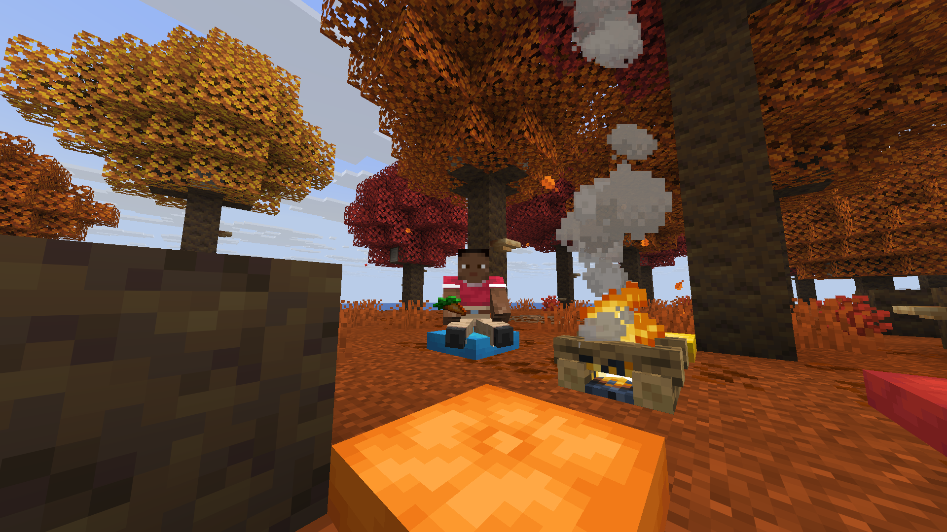 Cushions minecraft update sit