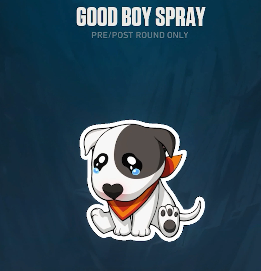 GOOD BOY SPRAY