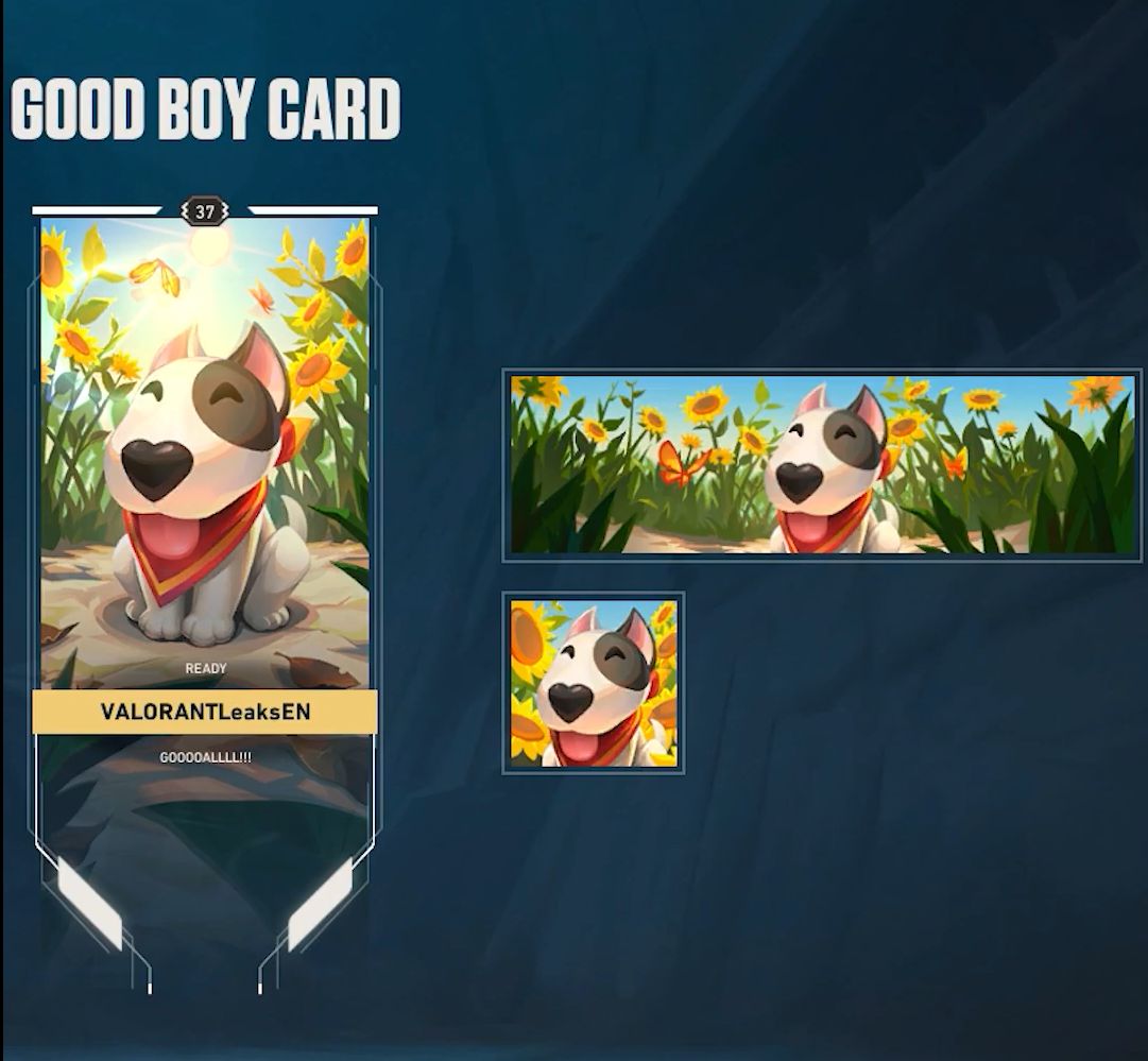 GOOD BOY BANNER VALORANT